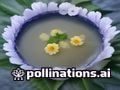 日本综艺节目现场，主持人与嘉宾在户外挑战游戏，阳光明媚笑声不断，日韩一区综艺专区精选